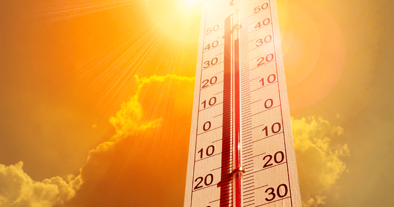 visuel article canicule 226