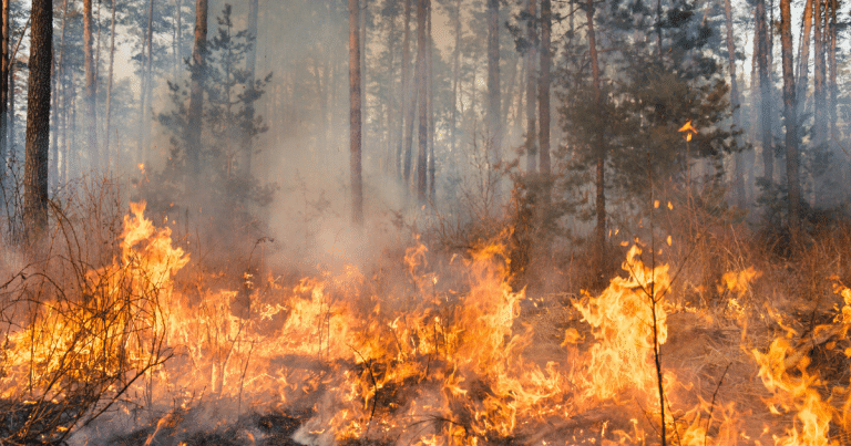 incendie en gironde